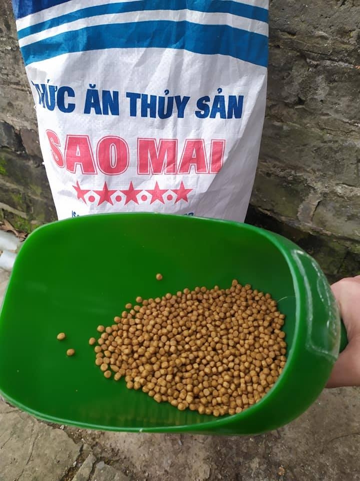 thuc an sao mai super feed duoc khach hang danh gia cao